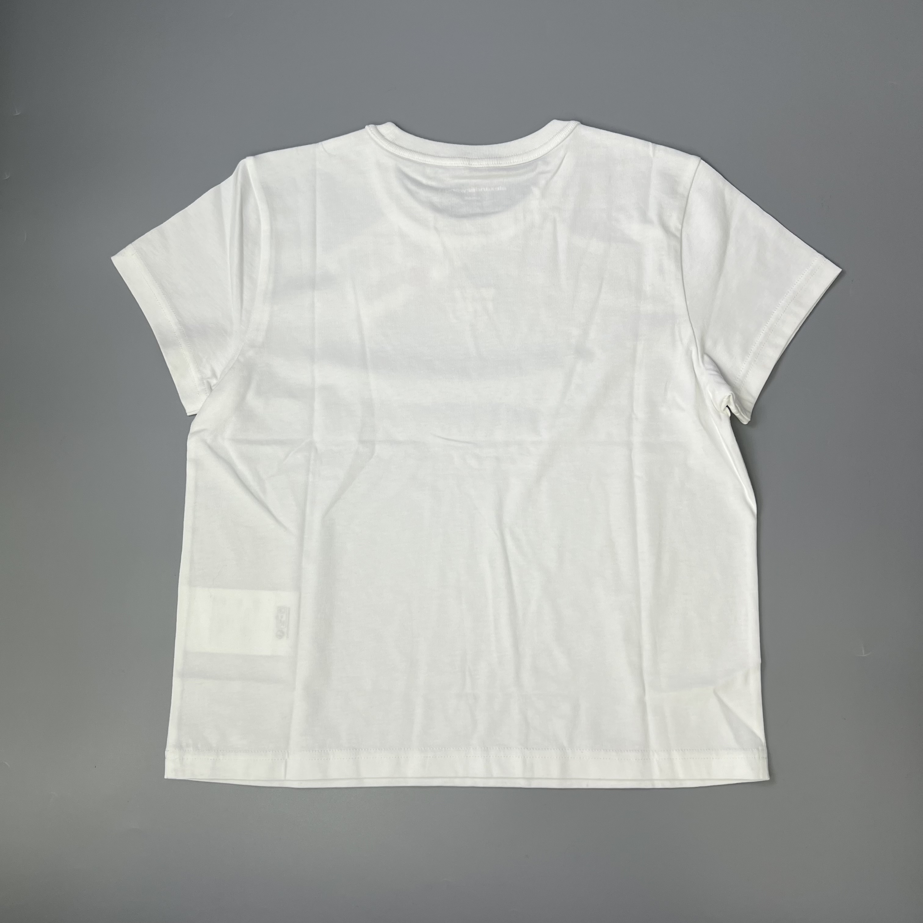 ALEXANDER WANG 4CC3241521 100