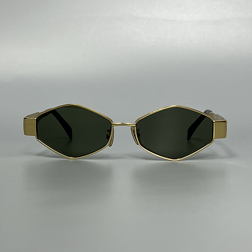 CELINE CL40254U 30N